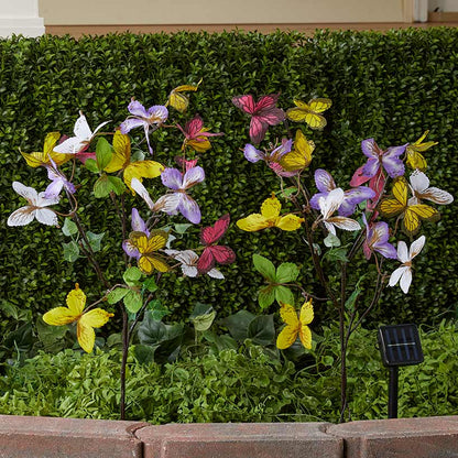 Solar Iris Japonica Collection