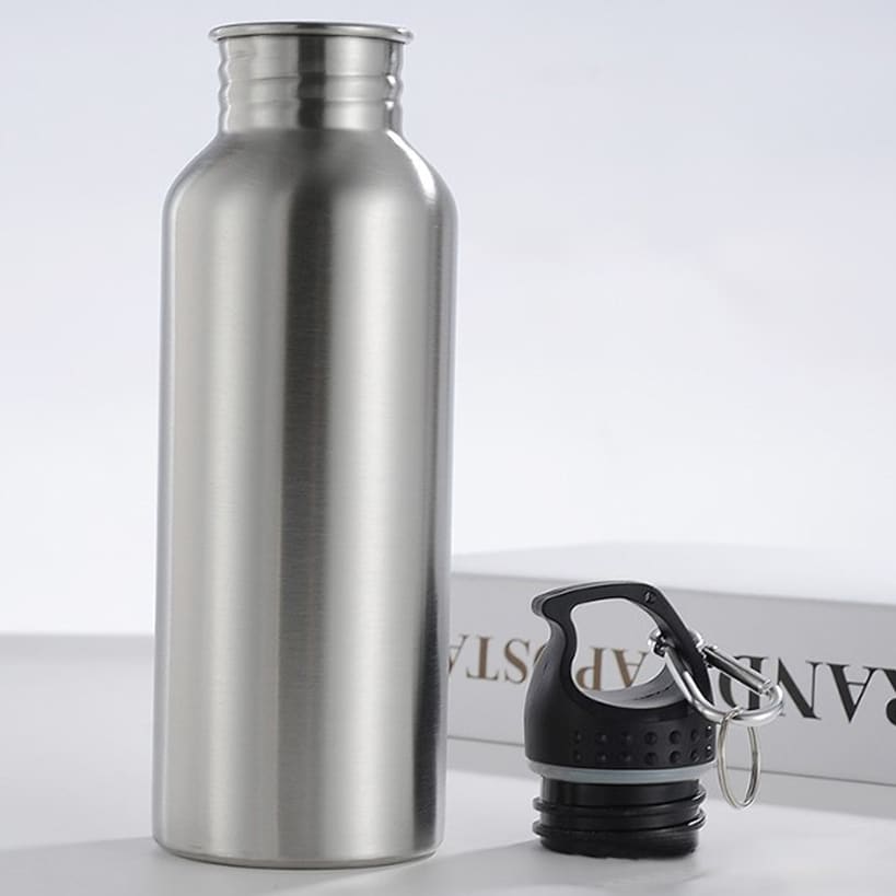 Water Bottle with Carry Handle and Carabiner Clip Set of 2