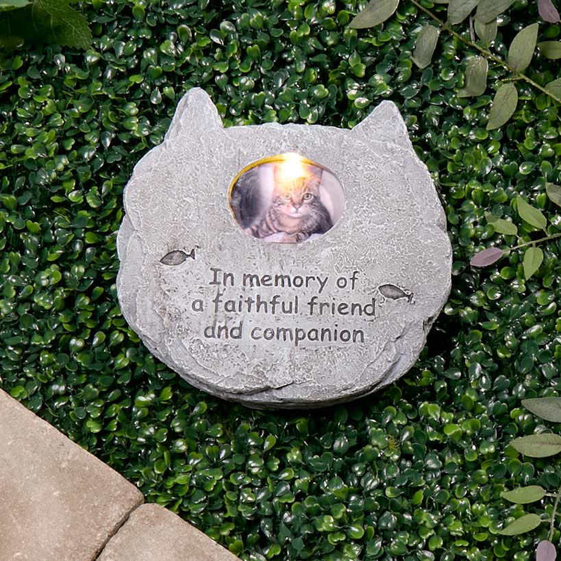 Solar Pet Memorial Photo Frame#select-frame_cat
