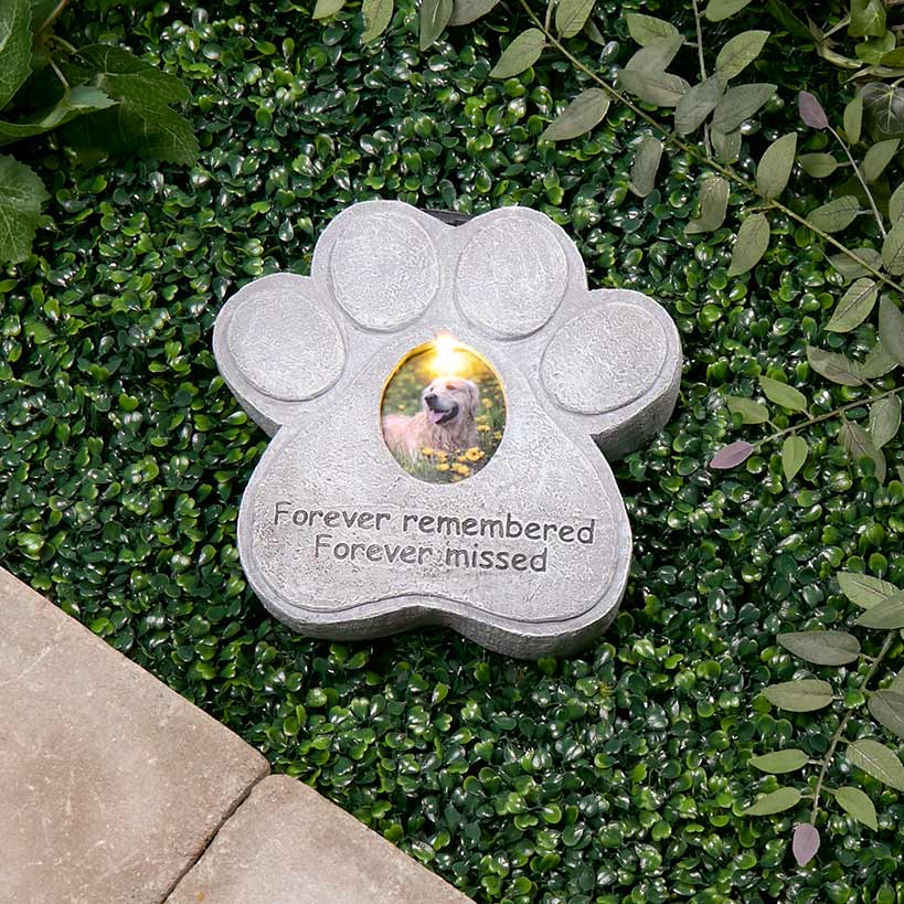 Solar Pet Memorial Photo Frame#select-frame_dog