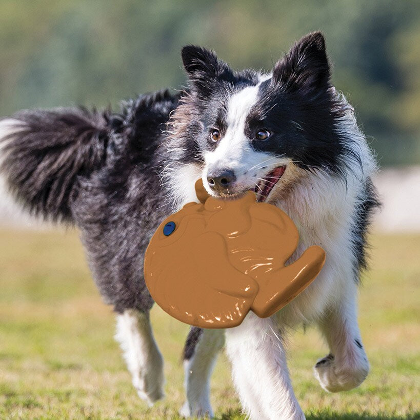 Pet Knows Best™ SquWhirl™ Dog Toy - Fun Whistling Disc for Endless Playtime