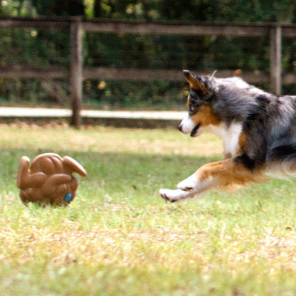 Pet Knows Best™ SquWhirl™ Dog Toy - Fun Whistling Disc for Endless Playtime