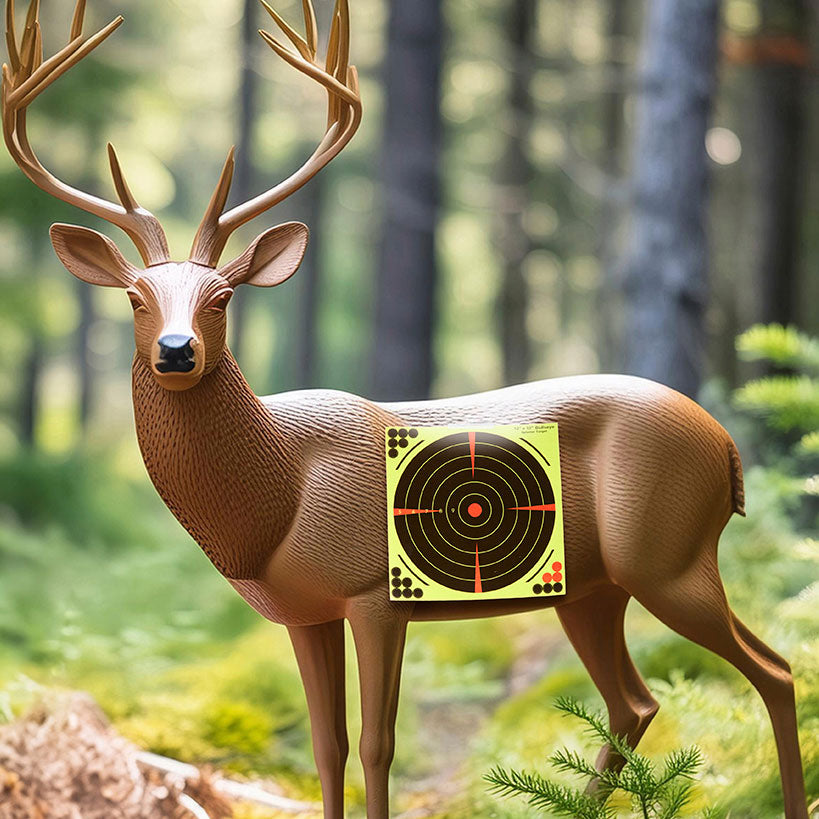 Set of 24 Bullseye Splatter Targets