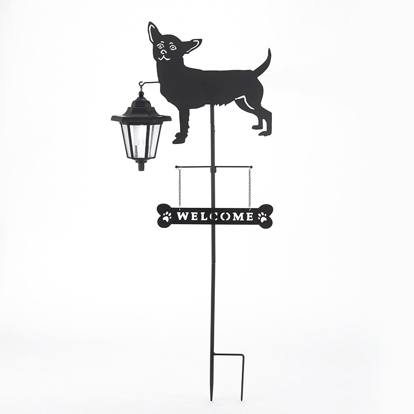 Solar Dog Breed Welcome Stakes