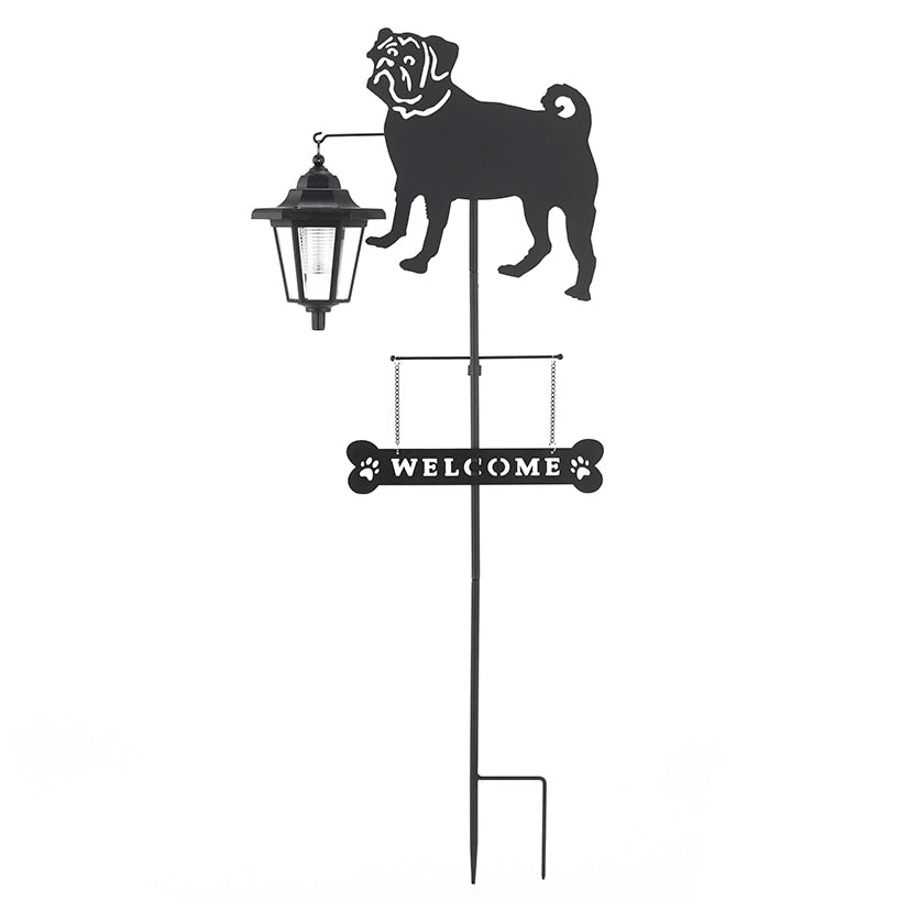 Solar Dog Breed Welcome Stakes