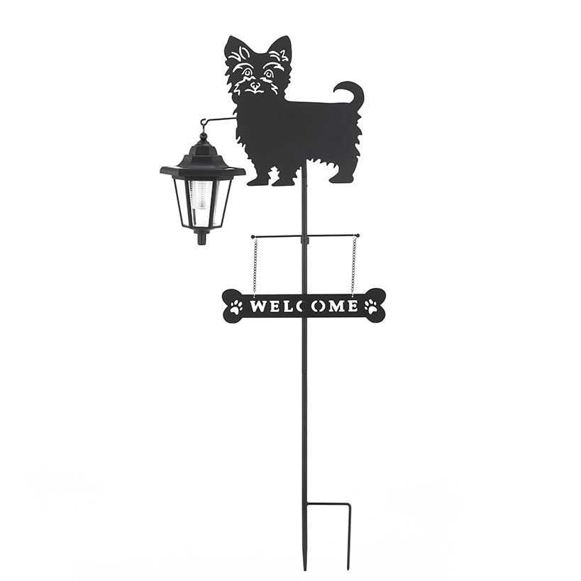 Solar Dog Breed Welcome Stakes