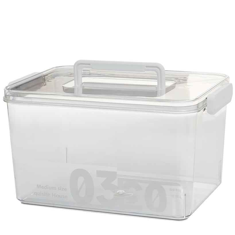 Storage Container with Lid and Handle