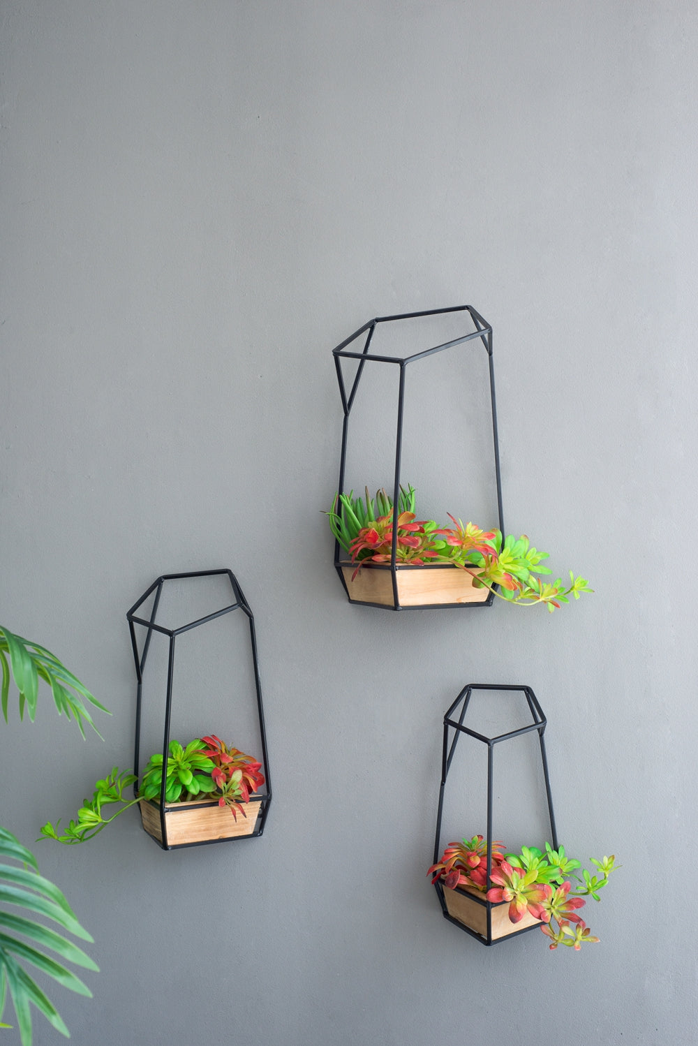Set of 3 Felix Wall Planter, L:10x10x16.5"  M:8.5x8.5x15.5" S:7x7x13.5" - image 9