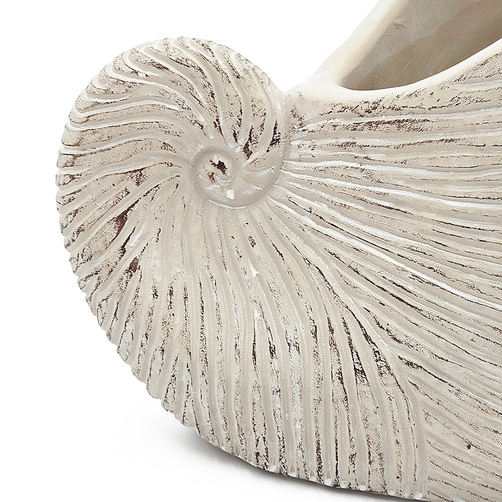 8.5x5.5x6.3" Sand and Cement Nautilus Shell Planter with Textured Beige Finish - image 9