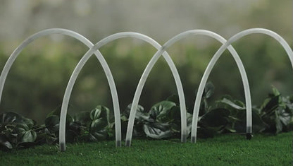 Sets of 4 Solar Arches