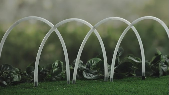 Sets of 4 Solar Arches