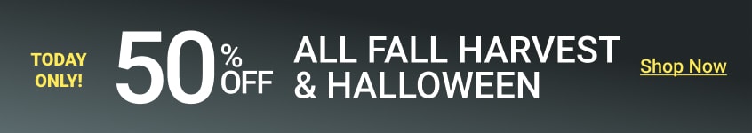 50% Off Fall Harvest & Halloween - Shop Now