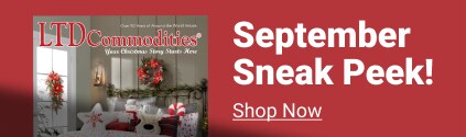 Take A Sneak Peek At Our September Catalog Shop Now