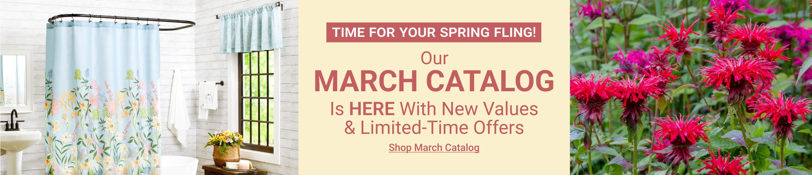 Our March catalog is here - Shop Now!